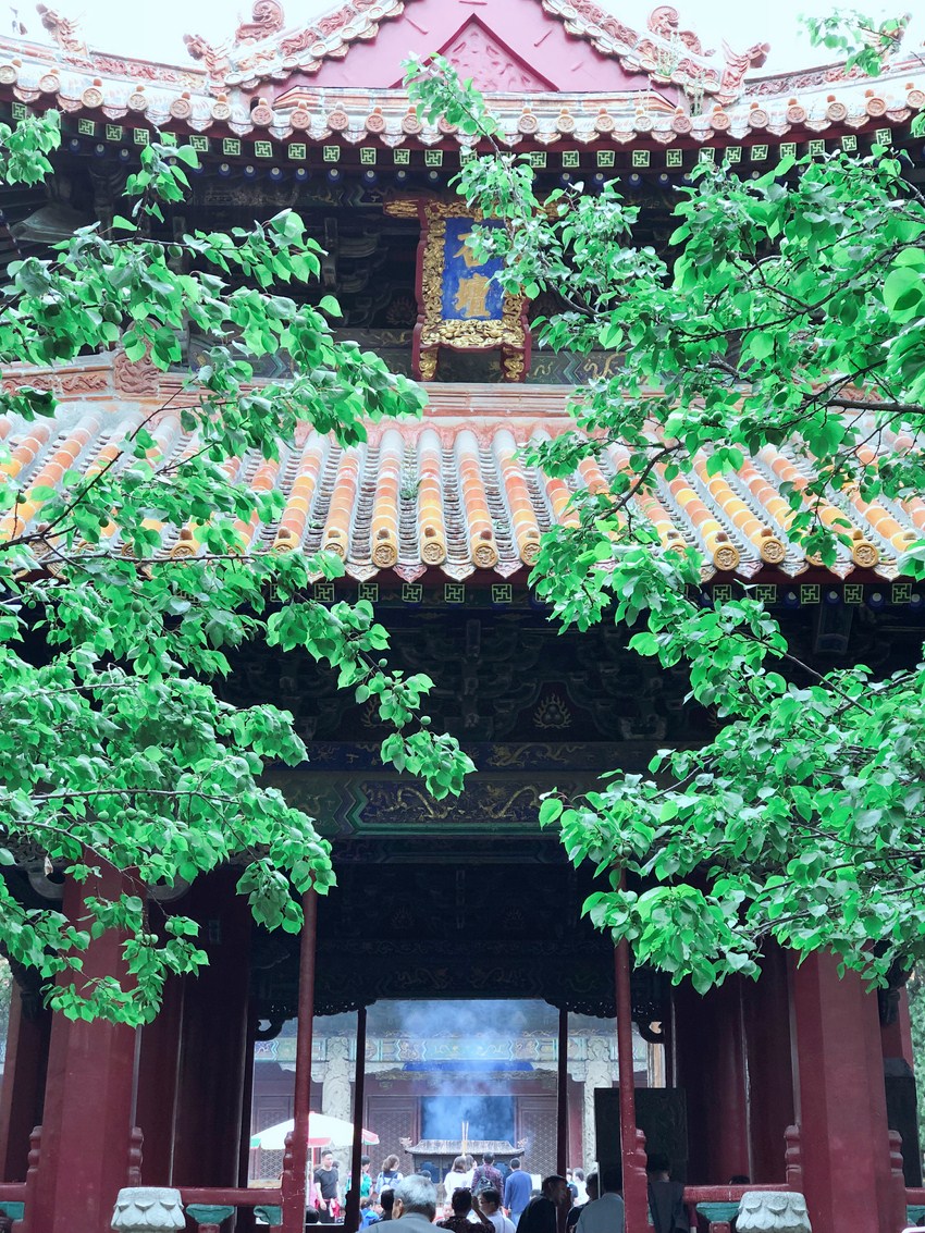 图2 (复制).jpg