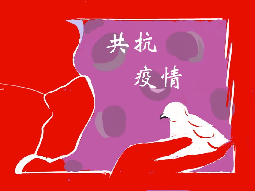 29 (复制).png