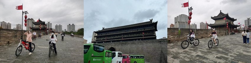 11 (复制).jpg